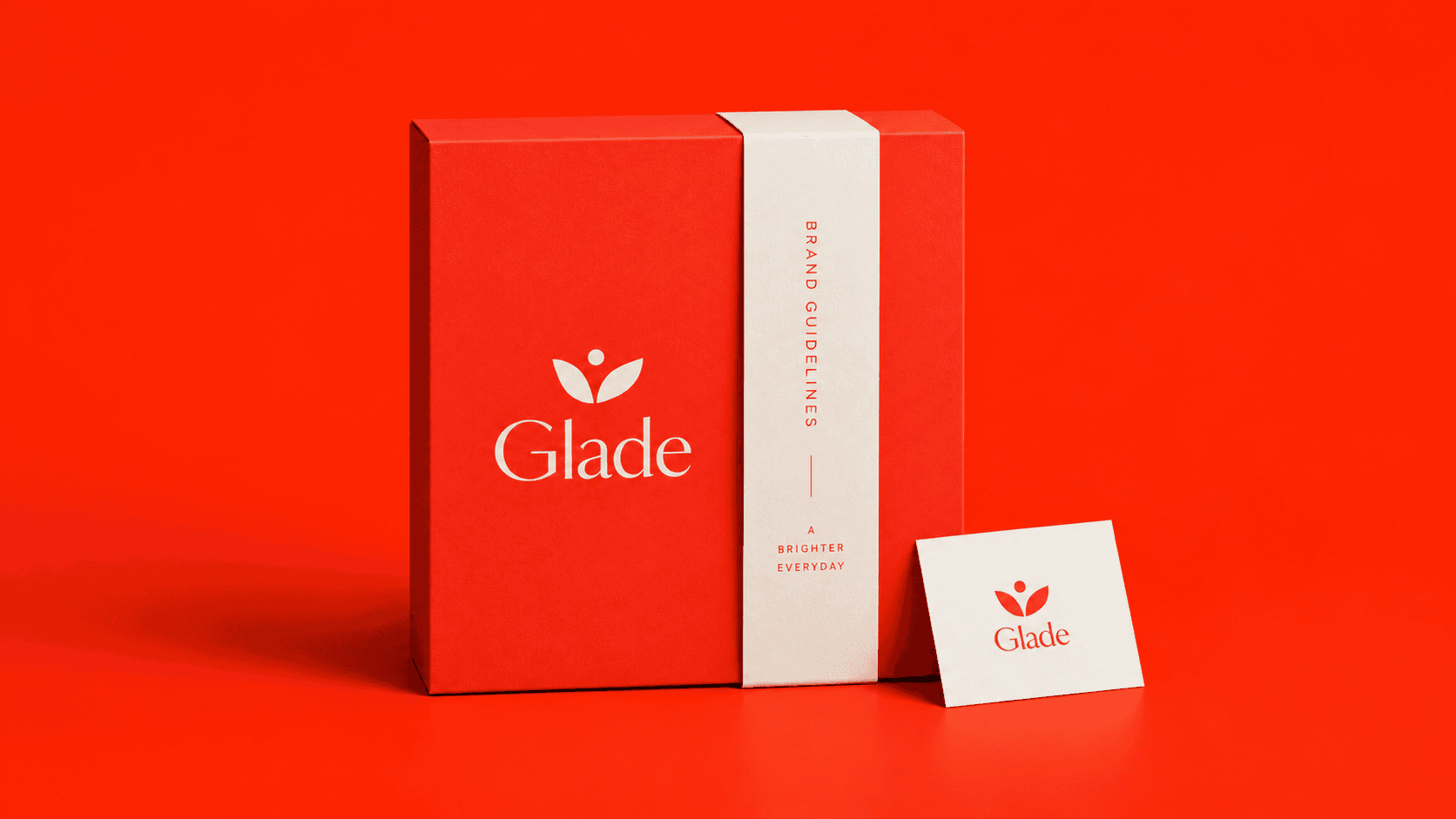 Brand Identity — Denvo Lab design examples